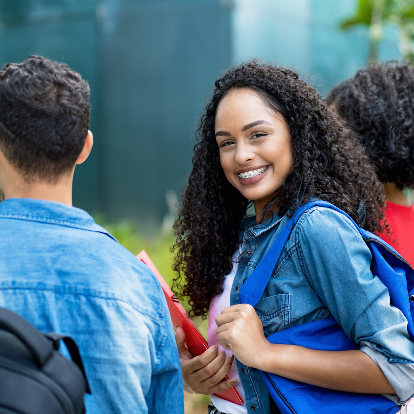 metal braces in land o lakes fl
